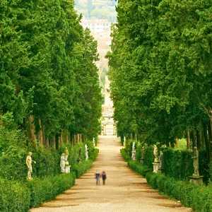 Sali sul bus scoperto a Firenze, Italia – Scopri monumenti, attrazioni e luoghi nascosti con il tour hop-on hop-off nel 2026